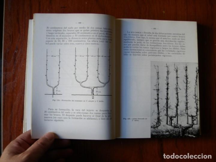 Libros de segunda mano: LIBRO EL MANZANO SERGIO ALVAREZ REQUEJO - Foto 2