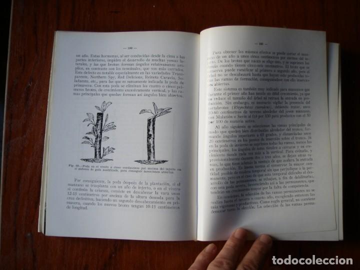 Libros de segunda mano: LIBRO EL MANZANO SERGIO ALVAREZ REQUEJO - Foto 3