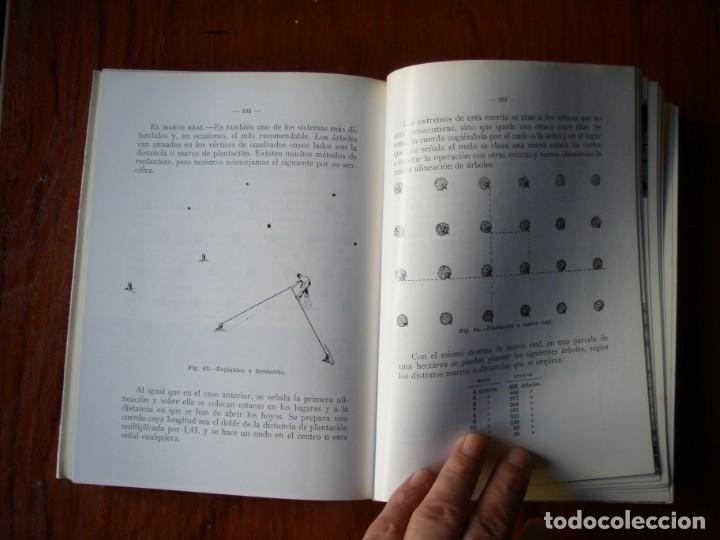 Libros de segunda mano: LIBRO EL MANZANO SERGIO ALVAREZ REQUEJO - Foto 4