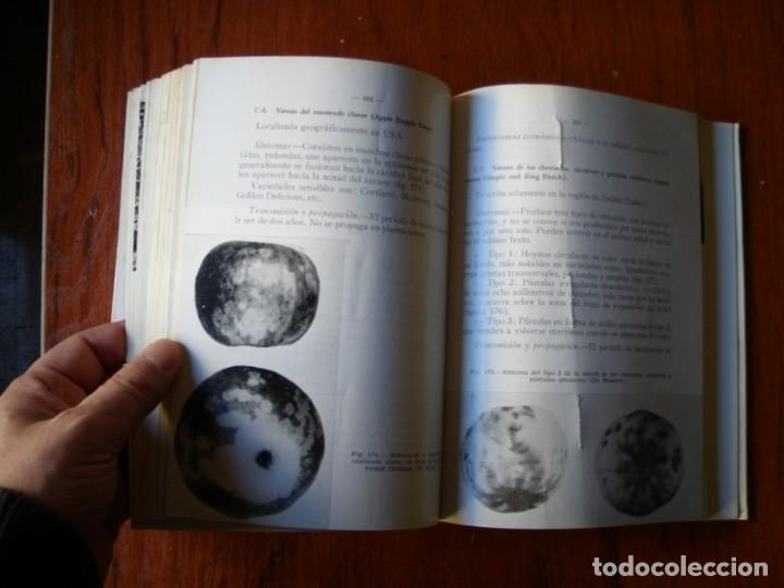 Libros de segunda mano: LIBRO EL MANZANO SERGIO ALVAREZ REQUEJO - Foto 5