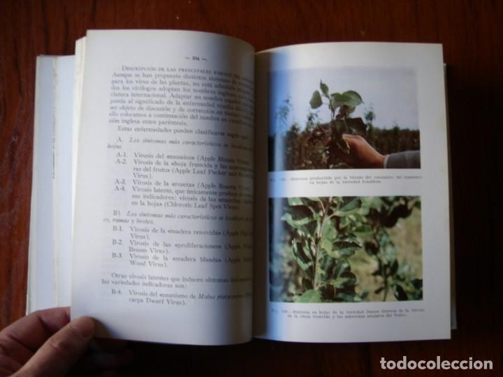 Libros de segunda mano: LIBRO EL MANZANO SERGIO ALVAREZ REQUEJO - Foto 6