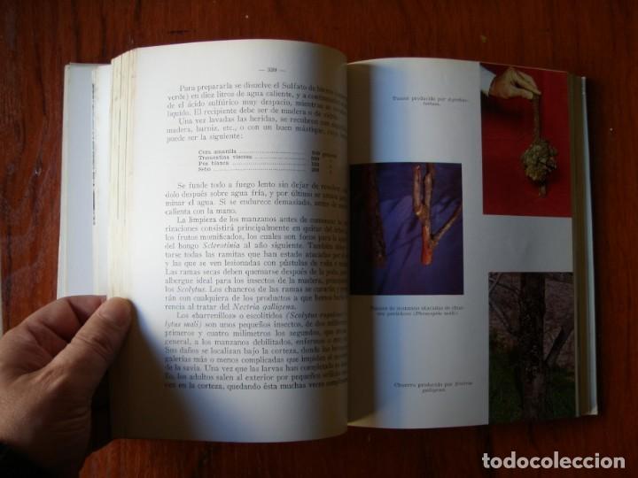 Libros de segunda mano: LIBRO EL MANZANO SERGIO ALVAREZ REQUEJO - Foto 7