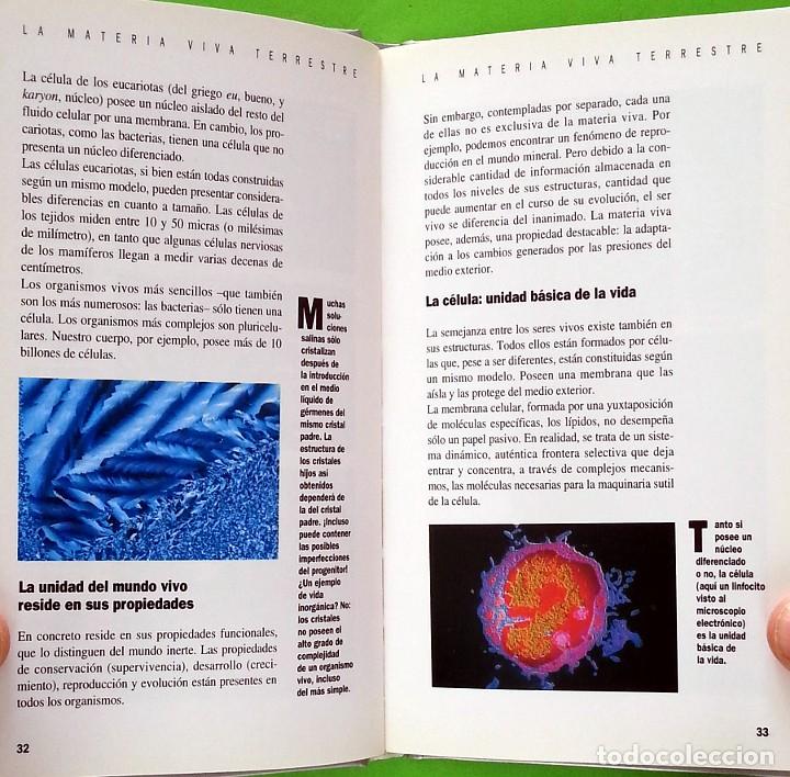 Libros de segunda mano: La aparici&oacute;n de la vida - Fran&ccedil;ois Raulin - Foto 5