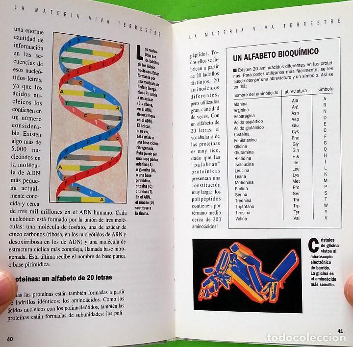 Libros de segunda mano: La aparici&oacute;n de la vida - Fran&ccedil;ois Raulin - Foto 6