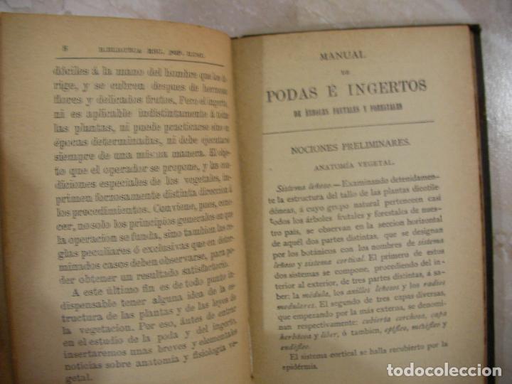 Libros de segunda mano: ANTIGUO LIBRO AGRICOLA - PODAS E INJERTOS - Foto 2