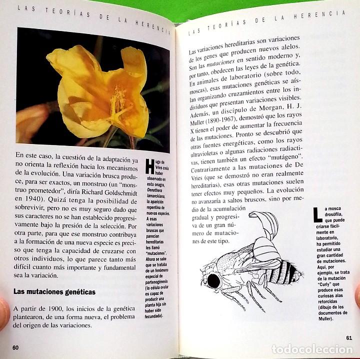 Libros de segunda mano: La evoluci&oacute;n: de la bacteria al hombre - Charles Lenay - Foto 5
