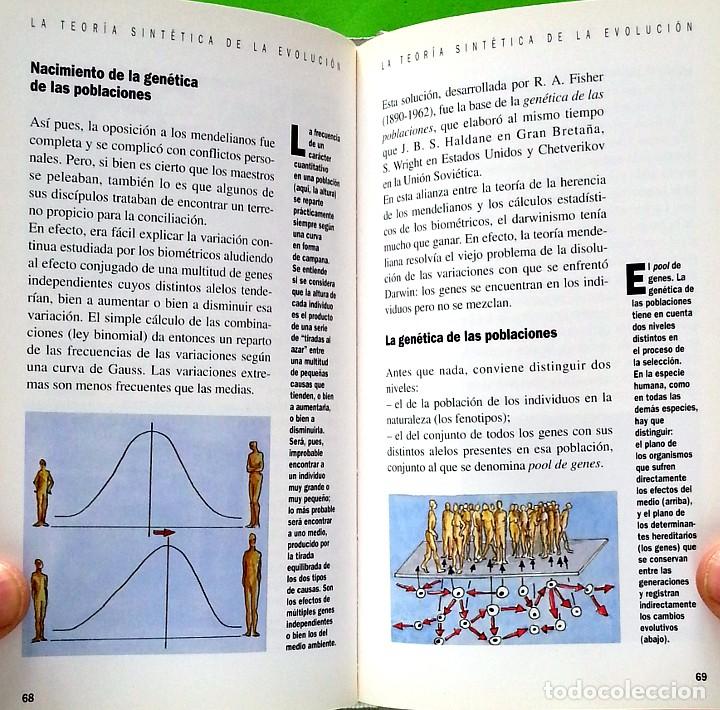 Libros de segunda mano: La evoluci&oacute;n: de la bacteria al hombre - Charles Lenay - Foto 6