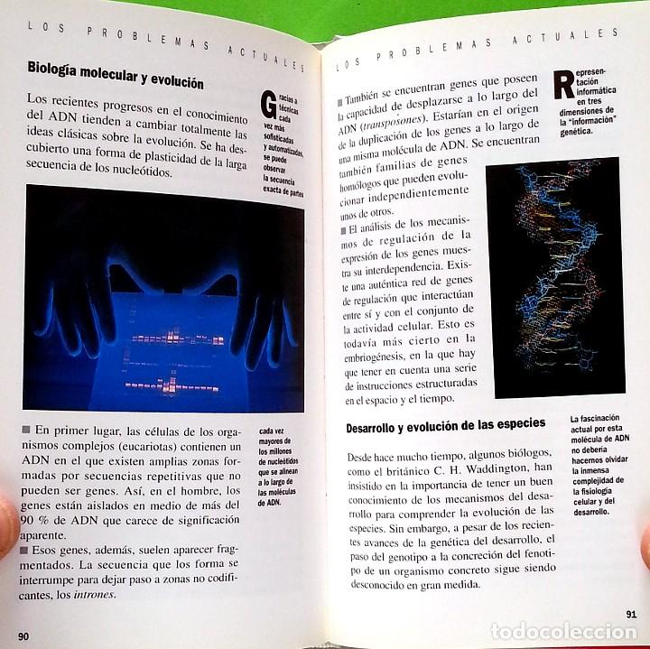 Libros de segunda mano: La evoluci&oacute;n: de la bacteria al hombre - Charles Lenay - Foto 7