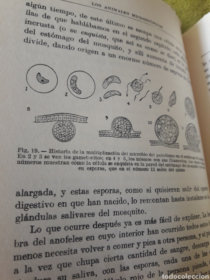 Libros de segunda mano: Los animales microsc&oacute;picos, libro de 1962 - Foto 5