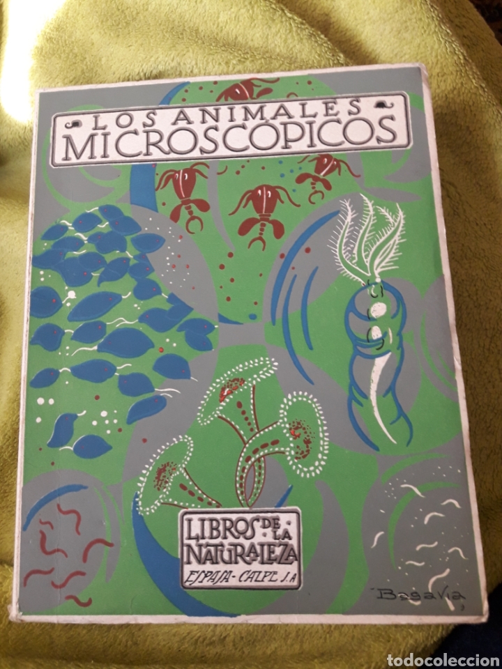 Libros de segunda mano: Los animales microsc&oacute;picos, libro de 1962 - Foto 1