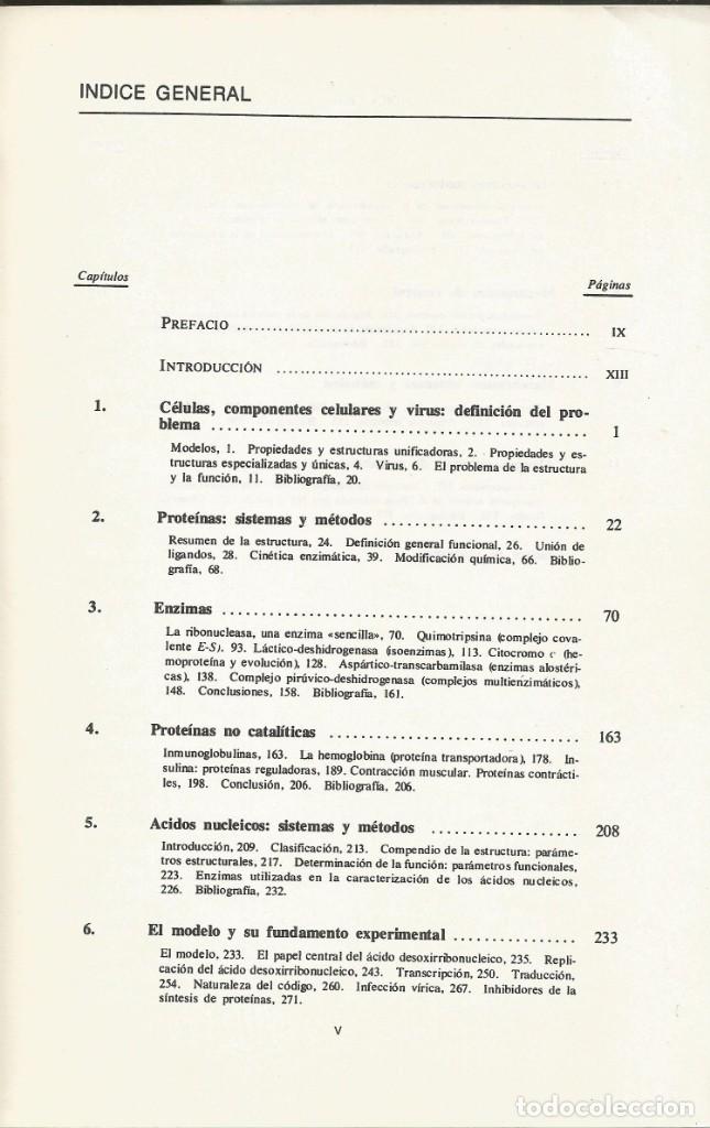 Libros de segunda mano de ciencias: Macromoleculas. Estructura y funci&oacute;n. Finn World. - Foto 2