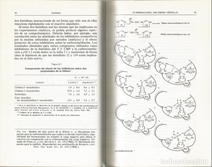 Libros de segunda mano de ciencias: Macromoleculas. Estructura y funci&oacute;n. Finn World. - Foto 4