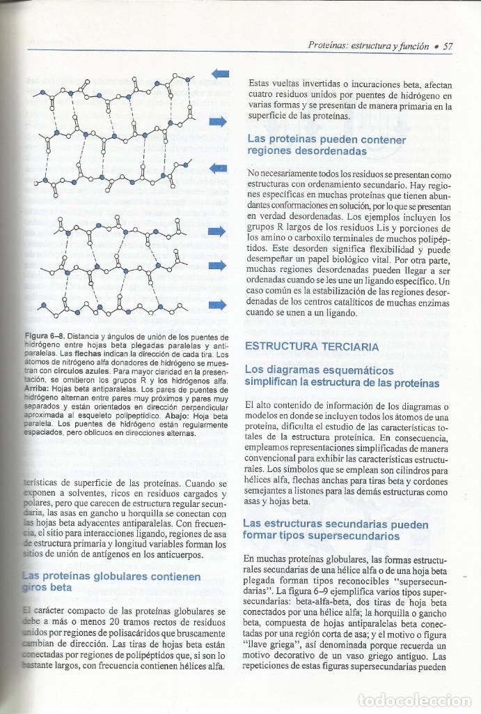 Libros de segunda mano de ciencias: Bioqu&iacute;mica de Harper. Varios autores. - Foto 8