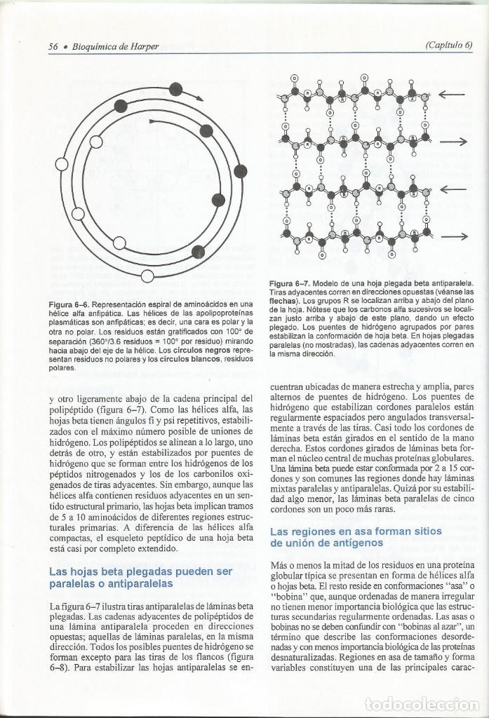 Libros de segunda mano de ciencias: Bioqu&iacute;mica de Harper. Varios autores. - Foto 9