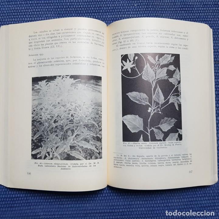Libros de segunda mano: Raeleff, R. D.: Toxicolog&iacute;a veterinaria - Foto 2