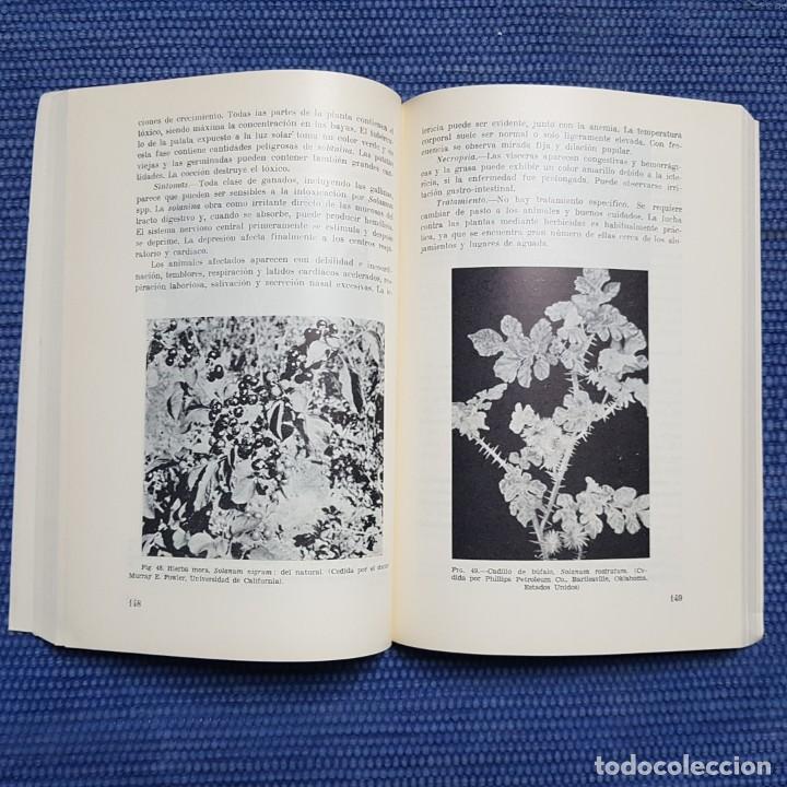 Libros de segunda mano: Raeleff, R. D.: Toxicolog&iacute;a veterinaria - Foto 3