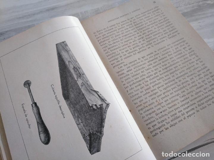 Libros de segunda mano: APICULTURA PR&Aacute;CTICA Y SENCILLA (1942) - Foto 3