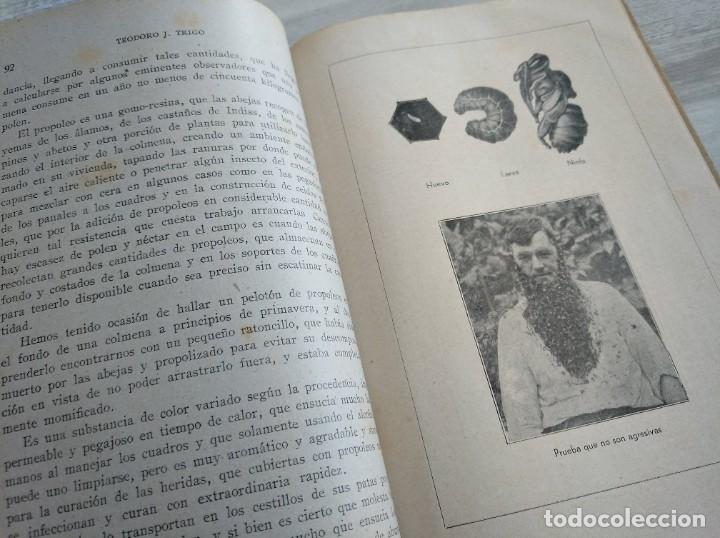 Libros de segunda mano: APICULTURA PR&Aacute;CTICA Y SENCILLA (1942) - Foto 4