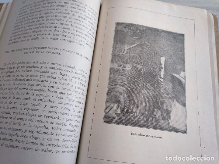 Libros de segunda mano: APICULTURA PR&Aacute;CTICA Y SENCILLA (1942) - Foto 5