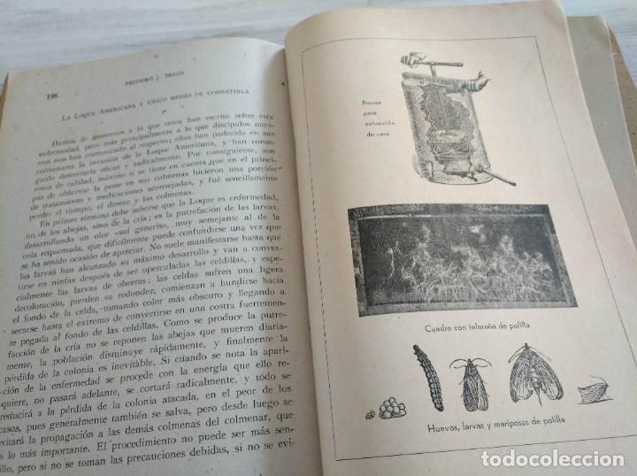 Libros de segunda mano: APICULTURA PR&Aacute;CTICA Y SENCILLA (1942) - Foto 6