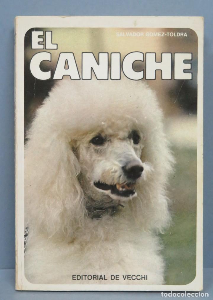 Libros de segunda mano: EL CANICHE. SALVADOR GOMEZ-TOLDRA - Foto 1