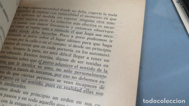 Libros de segunda mano: EL CANICHE. SALVADOR GOMEZ-TOLDRA - Foto 2