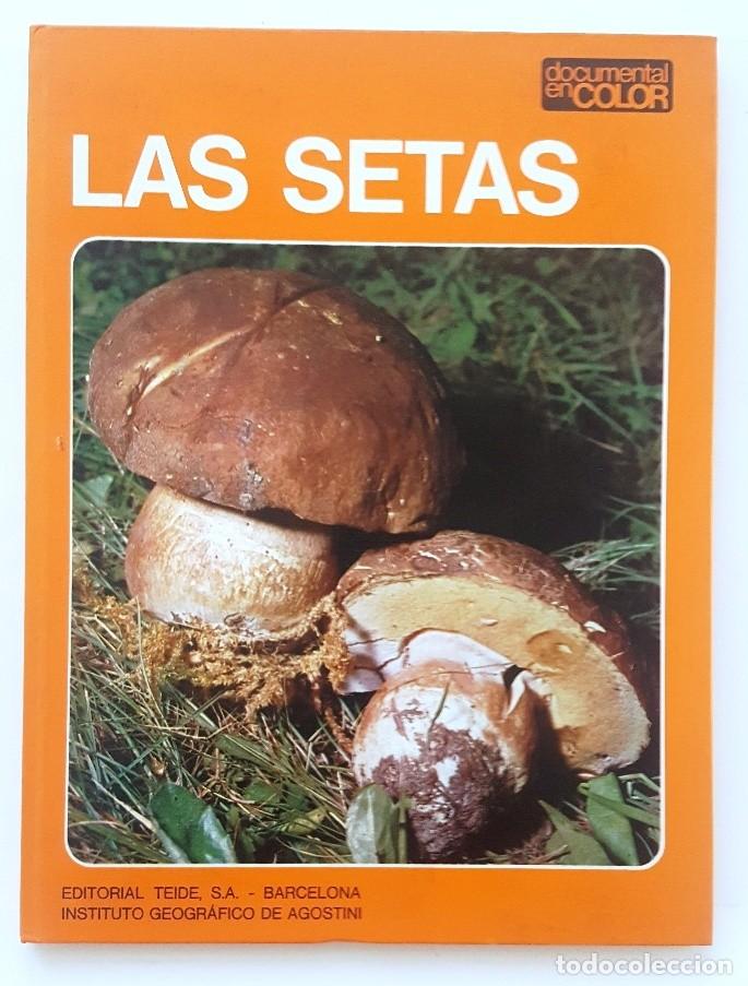 Libros de segunda mano: LAS SETAS. DOCUMENTAL EN COLOR. EDITORIAL TEIDE 1973. - Foto 1