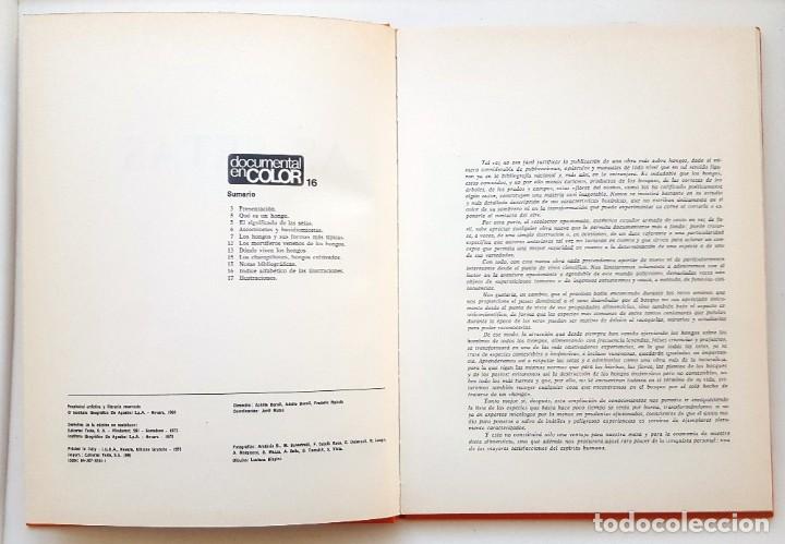 Libros de segunda mano: LAS SETAS. DOCUMENTAL EN COLOR. EDITORIAL TEIDE 1973. - Foto 3