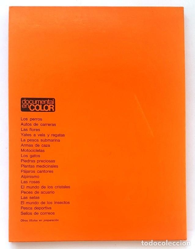 Libros de segunda mano: LAS SETAS. DOCUMENTAL EN COLOR. EDITORIAL TEIDE 1973. - Foto 9