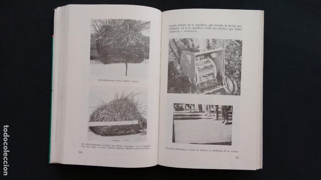 Libros de segunda mano: LOS C&Eacute;SPEDES. ROBERT THOMAS. EDICIONES MUNDI-PRENSA. MADRID, 1976. - Foto 10