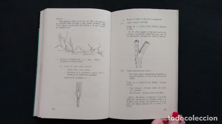 Libros de segunda mano: LOS C&Eacute;SPEDES. ROBERT THOMAS. EDICIONES MUNDI-PRENSA. MADRID, 1976. - Foto 11