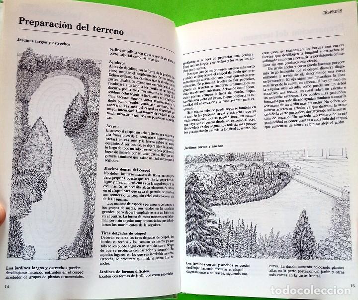 Libros de segunda mano: Cuidado del c&eacute;sped y jard&iacute;n - David Pycraft - Foto 5