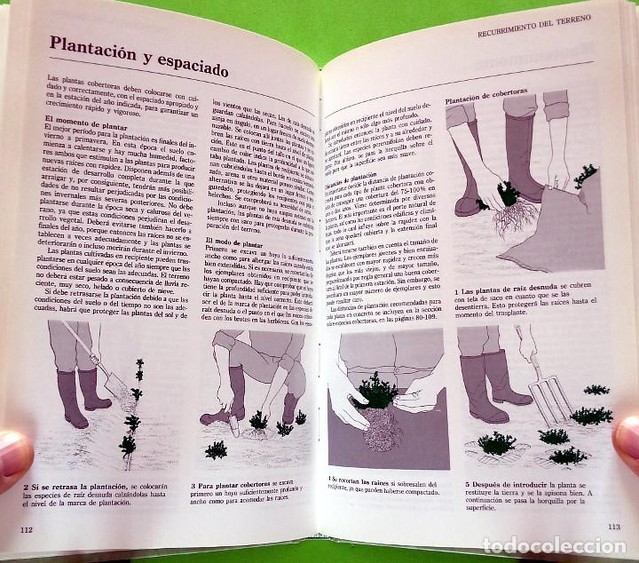 Libros de segunda mano: Cuidado del c&eacute;sped y jard&iacute;n - David Pycraft - Foto 6