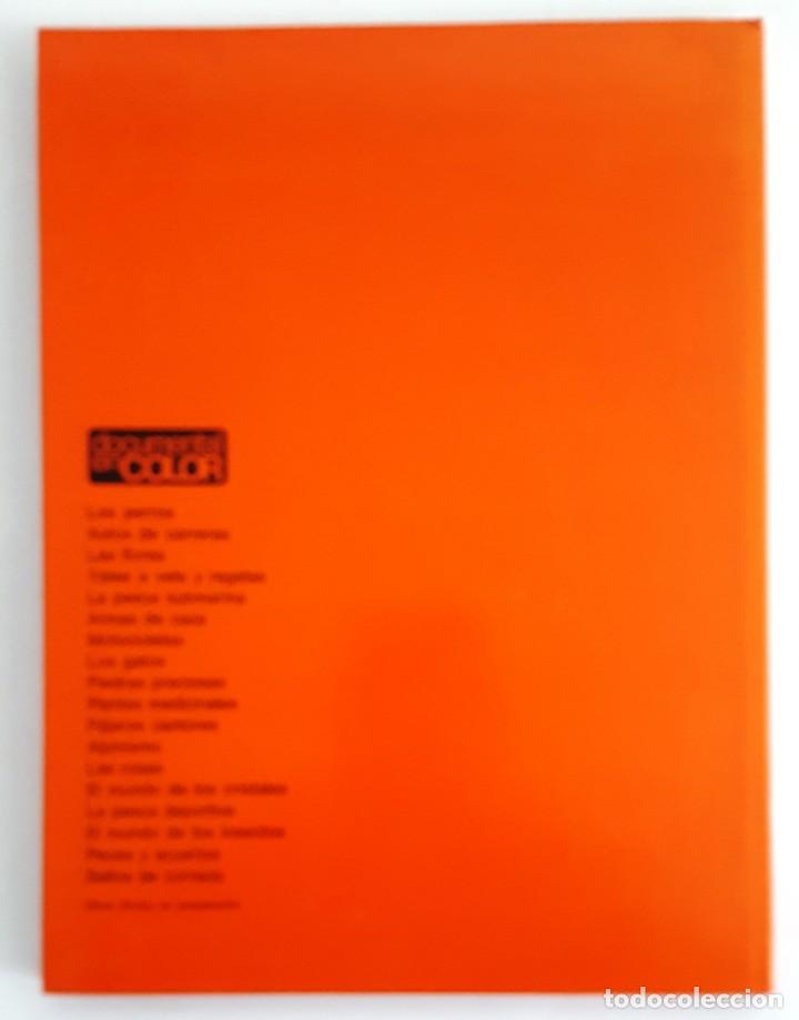 Libros de segunda mano: PAJAROS CANTORES. DOCUMENTAL EN COLOR. EDITORIAL TEIDE 1972. - Foto 2