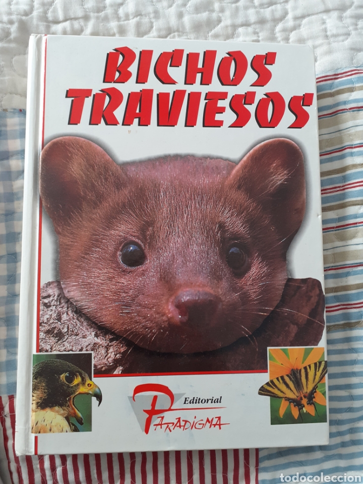 Libros de segunda mano: Bichos traviesos ed. Paradigma - Foto 1