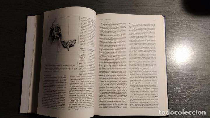 Libros de segunda mano: Evoluci&oacute;n, la base de la biolog&iacute;a,  Manuel Soler  Proyecto Sur de ediciones - Foto 5