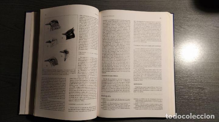 Libros de segunda mano: Evoluci&oacute;n, la base de la biolog&iacute;a,  Manuel Soler  Proyecto Sur de ediciones - Foto 6