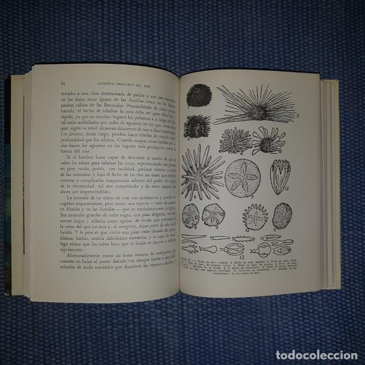 Libros de segunda mano: Hyatt Verril, A.: Extra&ntilde;as criaturas del mar - Foto 2