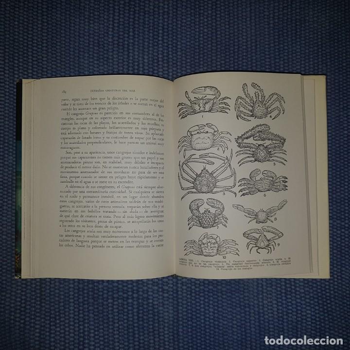 Libros de segunda mano: Hyatt Verril, A.: Extra&ntilde;as criaturas del mar - Foto 3