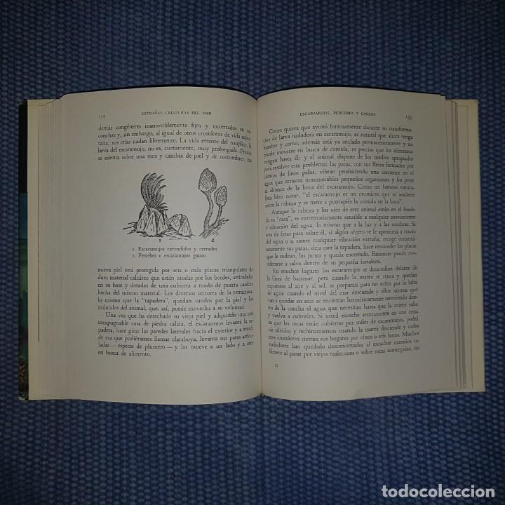 Libros de segunda mano: Hyatt Verril, A.: Extra&ntilde;as criaturas del mar - Foto 4