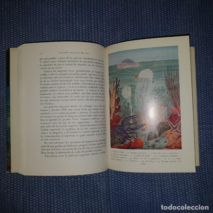 Libros de segunda mano: Hyatt Verril, A.: Extra&ntilde;as criaturas del mar - Foto 5