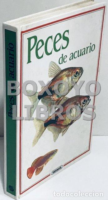 Libros de segunda mano: PETROVICK&Yacute;, Iivan. Peces de acuario - Foto 1