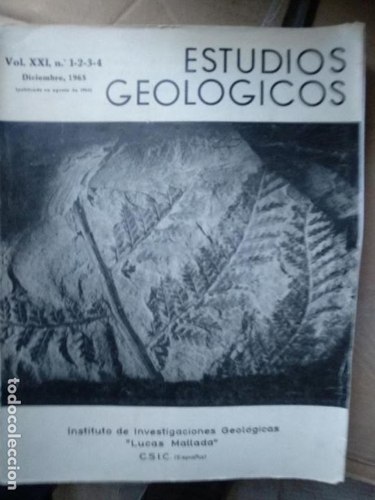 Libros de segunda mano: Estudios geologicos XXI - Foto 1