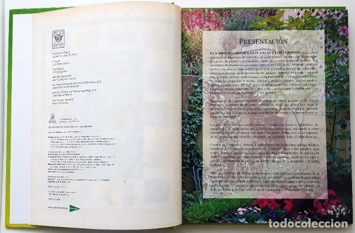 Libros de segunda mano: EL LIBRO DE ORO DE LAS PLANTAS Y LOS JARDINES. ABC 1995. - Foto 2