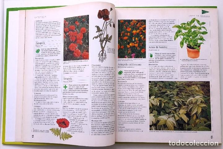 Libros de segunda mano: EL LIBRO DE ORO DE LAS PLANTAS Y LOS JARDINES. ABC 1995. - Foto 3