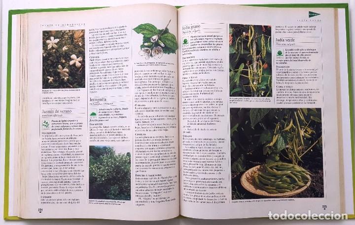 Libros de segunda mano: EL LIBRO DE ORO DE LAS PLANTAS Y LOS JARDINES. ABC 1995. - Foto 5