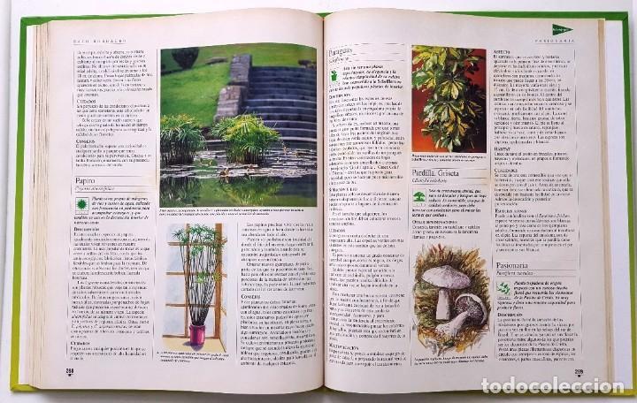 Libros de segunda mano: EL LIBRO DE ORO DE LAS PLANTAS Y LOS JARDINES. ABC 1995. - Foto 7