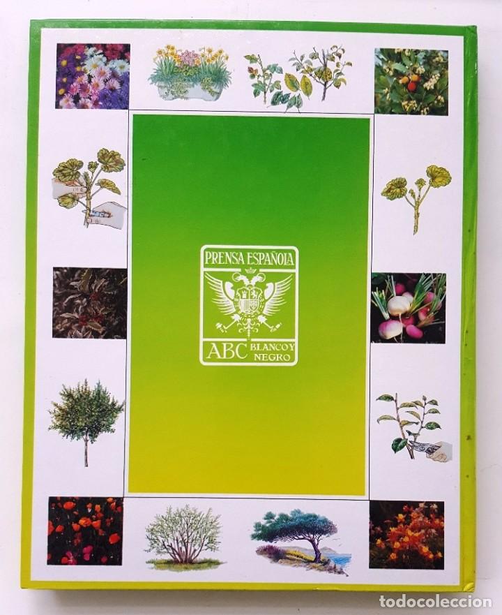 Libros de segunda mano: EL LIBRO DE ORO DE LAS PLANTAS Y LOS JARDINES. ABC 1995. - Foto 8