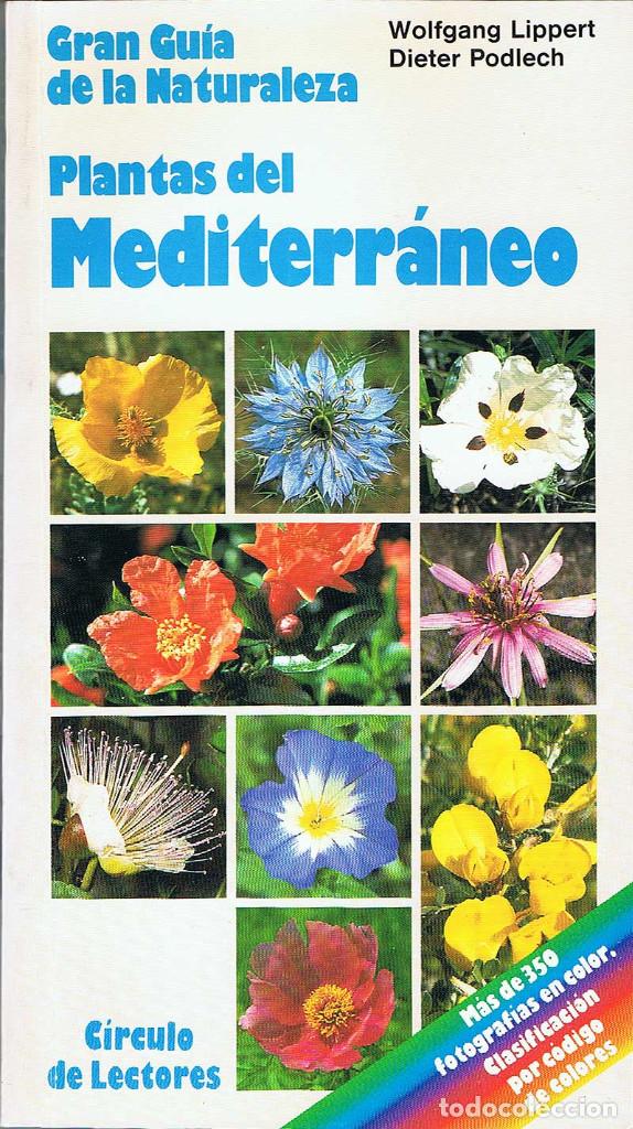 Libri di seconda mano: Gran Gu&iacute;a de la Naturaleza. Plantas del Mediterr&aacute;neo - Wolfgang Lippert y Dieter Podlech