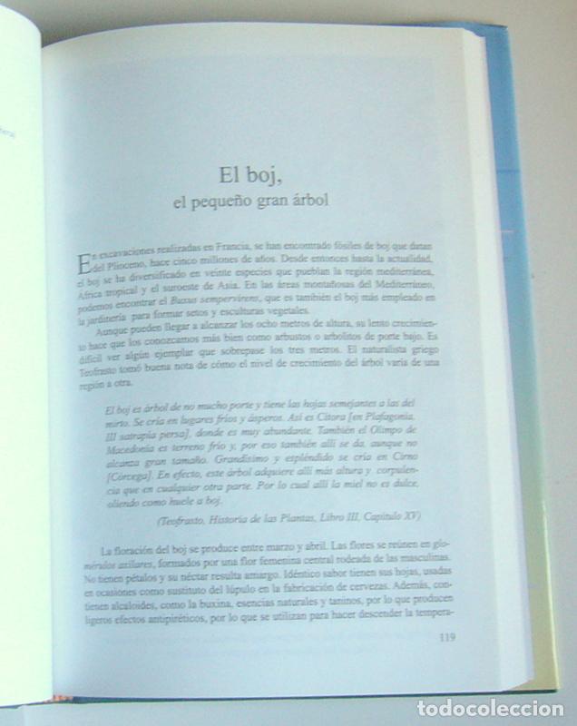 Libros de segunda mano: EL ALMA DE LOS ARBOLES - MIGUEL HERRERO UCEDA - Foto 5